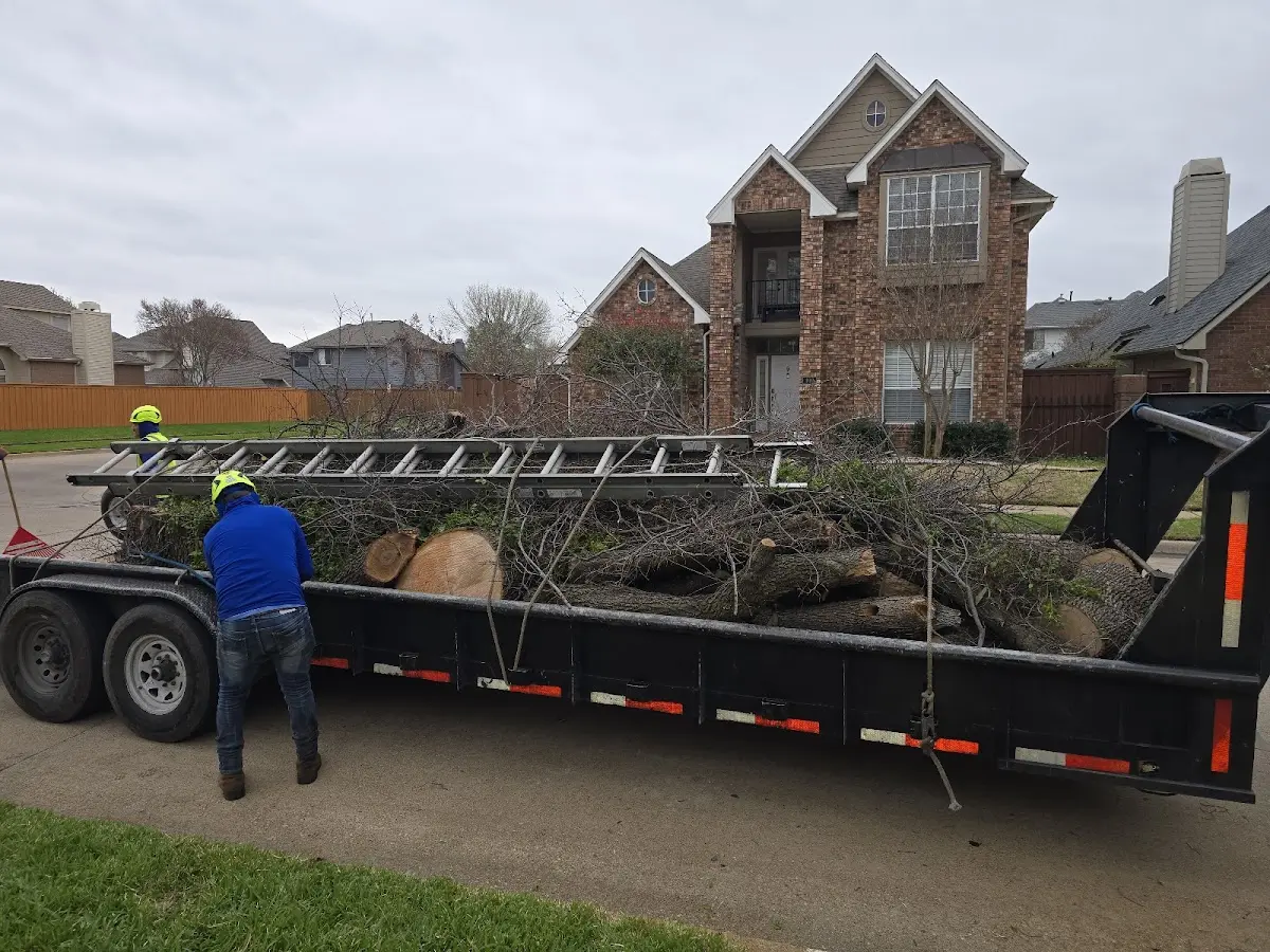 Expert Tree Removal with proper safety equipment in Loganville